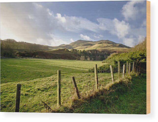 Scottish Wood Print featuring the photograph Pasture among hills. by Elena Perelman