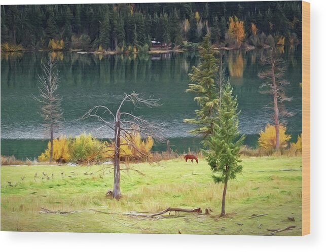 Greeting Card Wood Print featuring the photograph Pasture and Geese by Allan Van Gasbeck