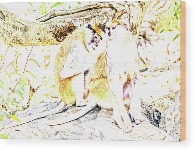 Monkeys Wood Print featuring the photograph Patas Abstract by Kate Brown