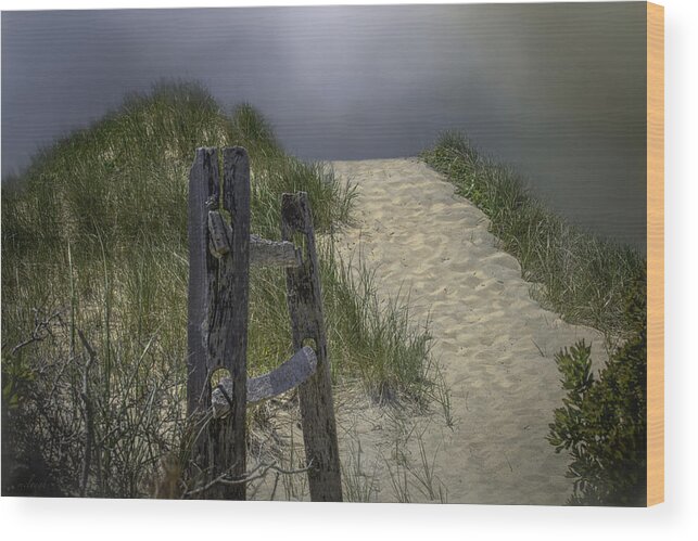 Beach Wood Print featuring the photograph Path to Bayside by Mary Clough