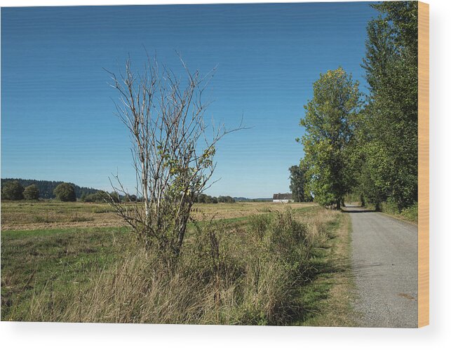 Path To Twin Barns Wood Print featuring the photograph Path to Twin Barns by Tom Cochran