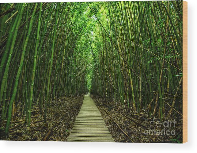 Bamboo Forest Wood Print featuring the photograph Path to Zen by Jamie Pham