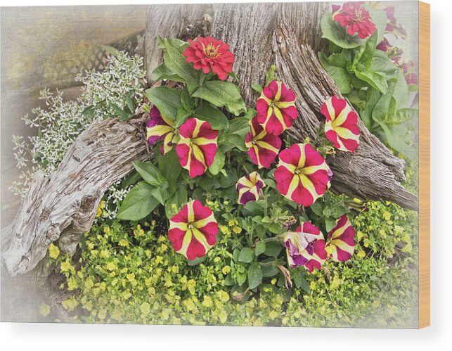 Patio Container Garden Wood Print featuring the photograph Patio Container Garden by Carolyn Derstine