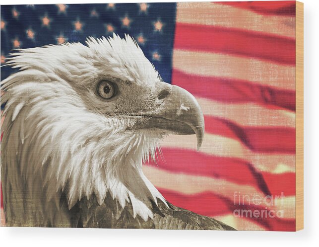 Bald Eagle Wood Print featuring the photograph Patriot, Bald eagle and american US flag by Delphimages Flag Creations