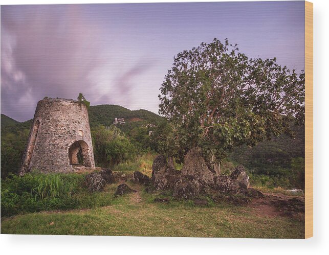3scape Wood Print featuring the photograph Peace Hill Ruins by Adam Romanowicz