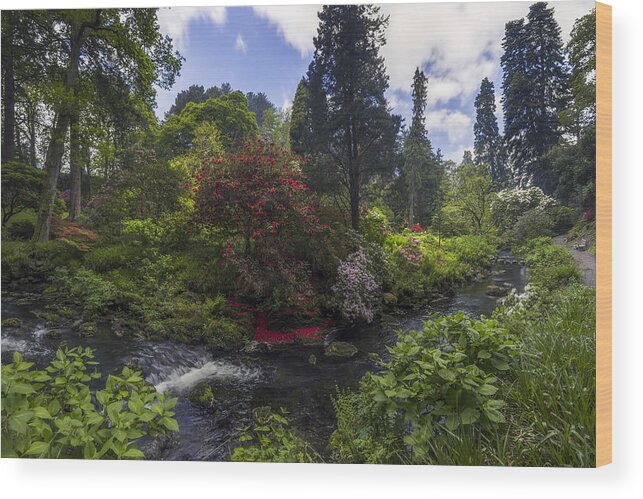 Creek Wood Print featuring the photograph Peace In The Valley by Ian Mitchell