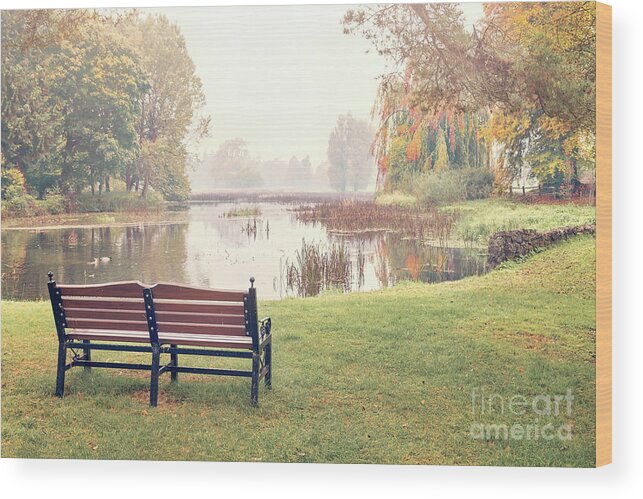 Kremsdorf Wood Print featuring the photograph Peace Of Autumn by Evelina Kremsdorf