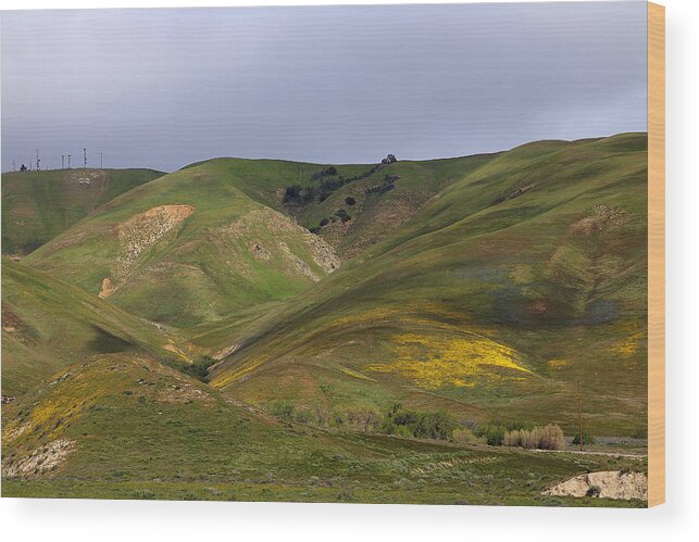 Spring At Door Wood Print featuring the photograph Peace Valley by Viktor Savchenko