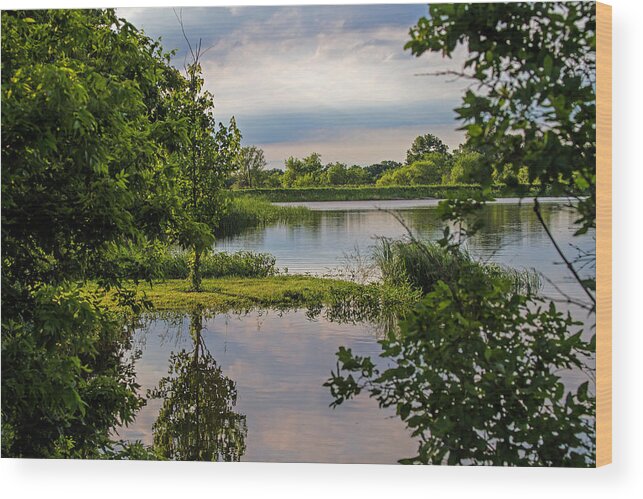 Landscape Wood Print featuring the photograph Peaceful Evening by Alana Thrower
