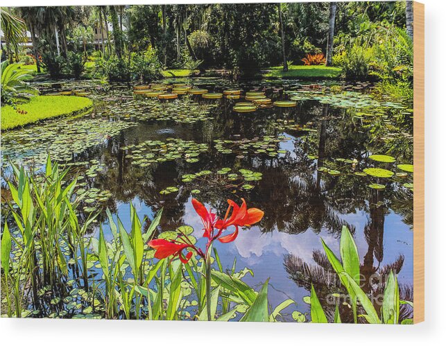 Liesl Walsh Wood Print featuring the photograph Peaceful Pond, Painting Effect by Liesl Walsh