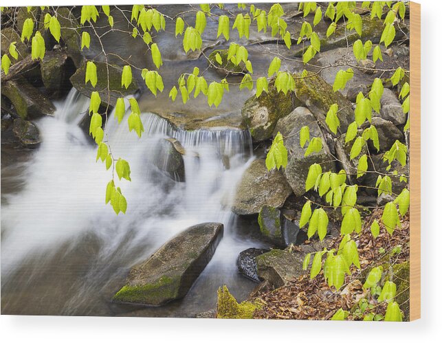 Spring Wood Print featuring the photograph Peacham Brook Spring by Alan L Graham