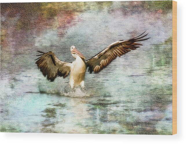 Pelicans Wood Print featuring the photograph Pelican art 00174 by Kevin Chippindall