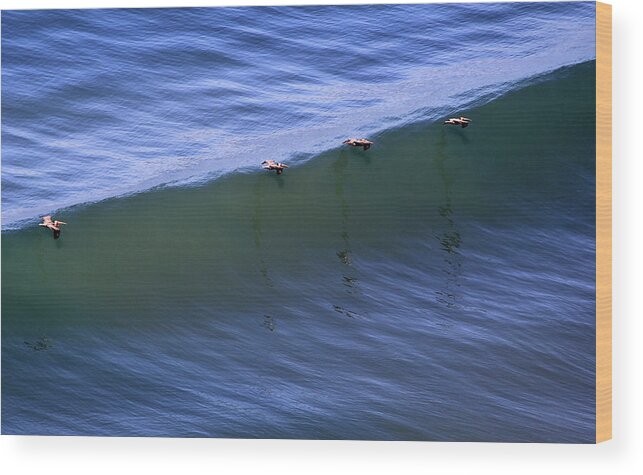 Pelican Wood Print featuring the photograph Pelican Formation at Torrey Pines by Robin Street-Morris