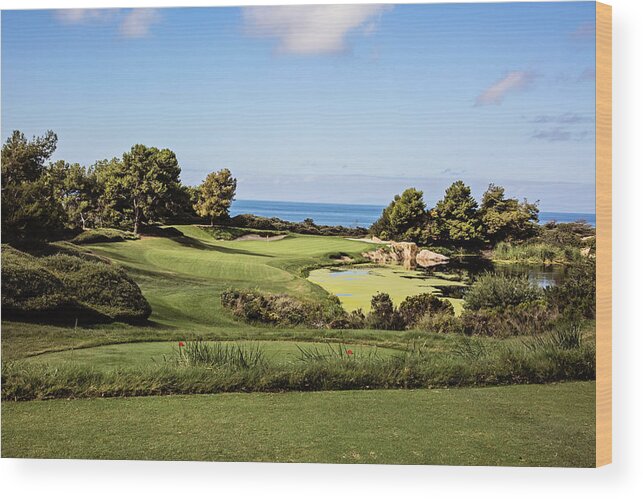 Pelican Hill Wood Print featuring the photograph Pelican Hill No. 7 by Scott Pellegrin