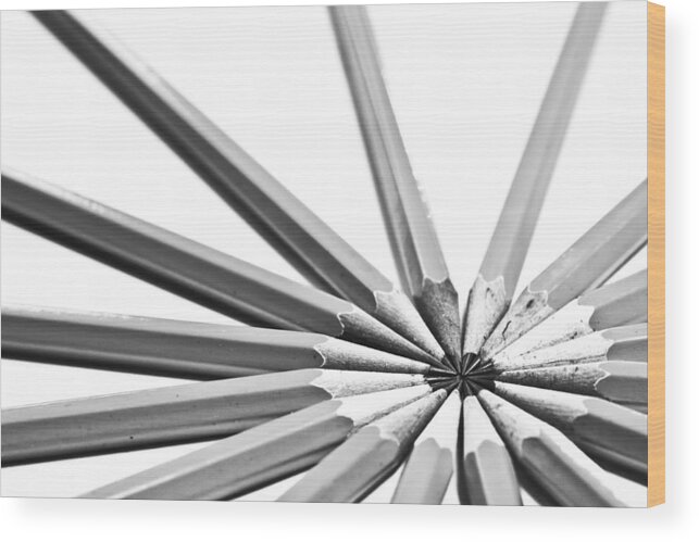 Pencil Wood Print featuring the photograph Pencils by Edward Myers