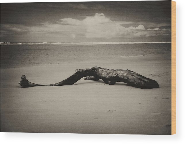 Beach Wood Print featuring the photograph Peninsula de Marau by Amarildo Correa