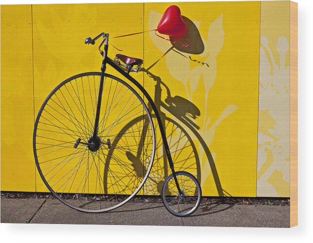 Penny Farthing Wood Print featuring the photograph Penny Farthing Love by Garry Gay