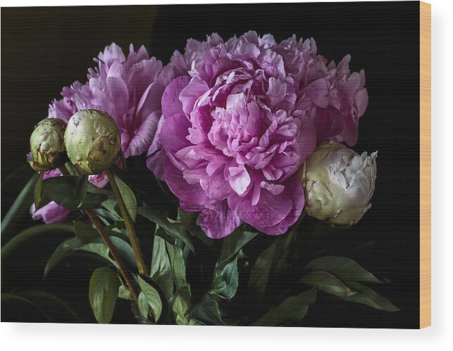 Peonies Wood Print featuring the photograph Peonies Still Life by Jade Moon