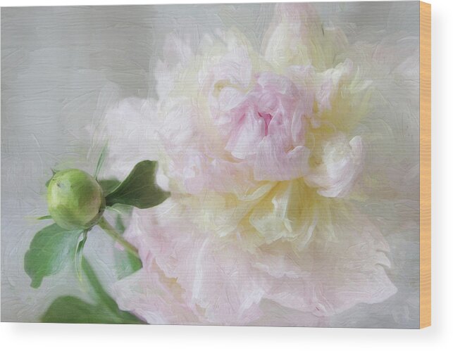 Floral Wood Print featuring the photograph Peony 7 by Karen Lynch