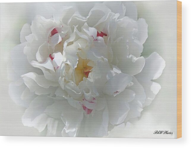 Peony Wood Print featuring the photograph Peony by Bonnie Willis