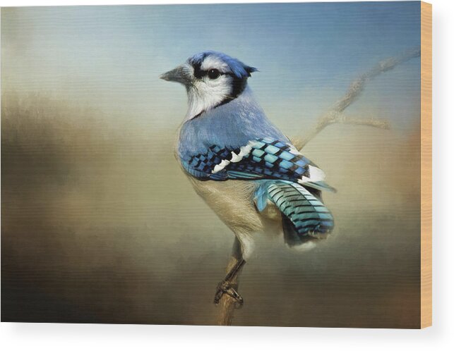 Animal Wood Print featuring the photograph Perched Blue Jay by Lana Trussell