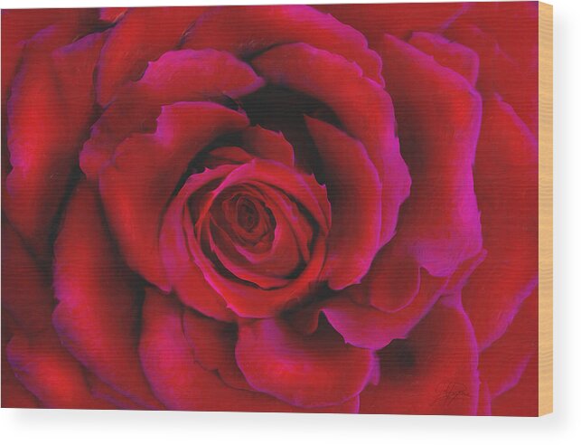 Rose Wood Print featuring the painting Perfect Rose by Joel Payne
