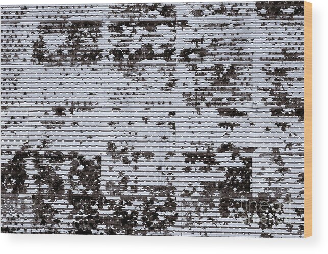 Grain Bin Perforate Perforated Metal Sheet Farm Black White Monochrome Wood Print featuring the photograph Perforated Texture 7322 by Ken DePue