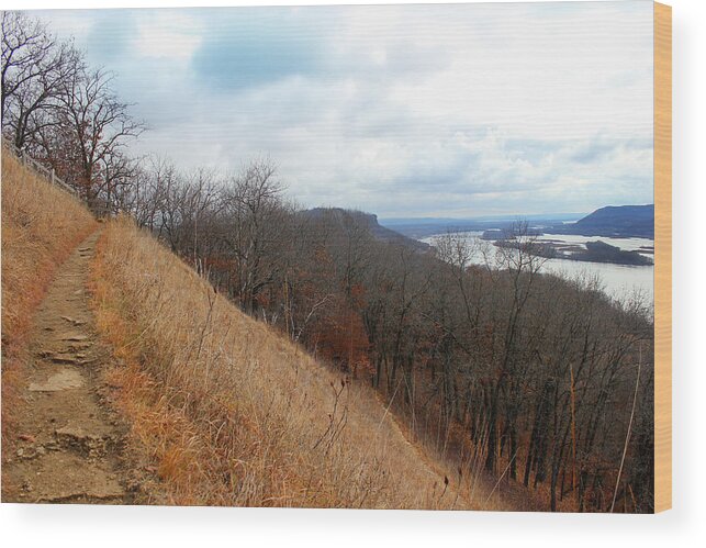 Nature Wood Print featuring the photograph Perrot State Park Mississippi River 5 by Brook Burling