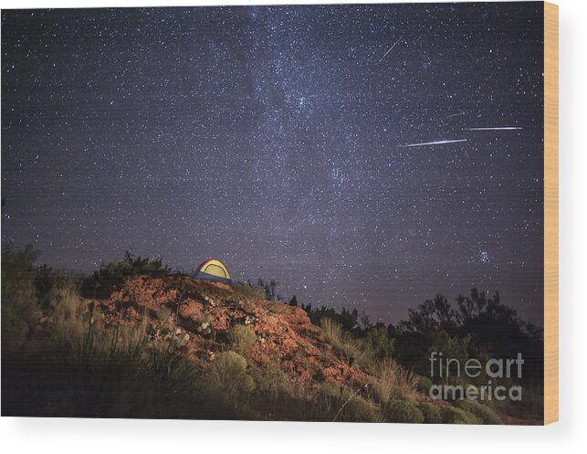 Perseids Wood Print featuring the photograph Perseids Over Caprock Canyons by Melany Sarafis