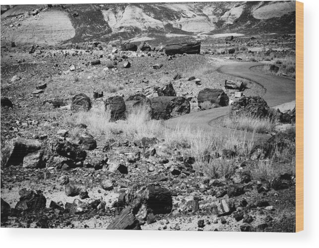  Wood Print featuring the photograph Petrified Forest National Park #2 by Robert J Caputo