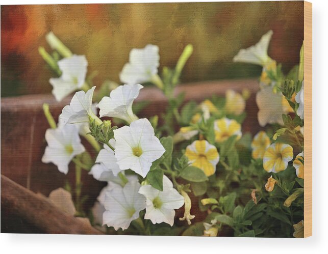 Petunia Wood Print featuring the digital art Petunias Are Romantic by Theresa Campbell
