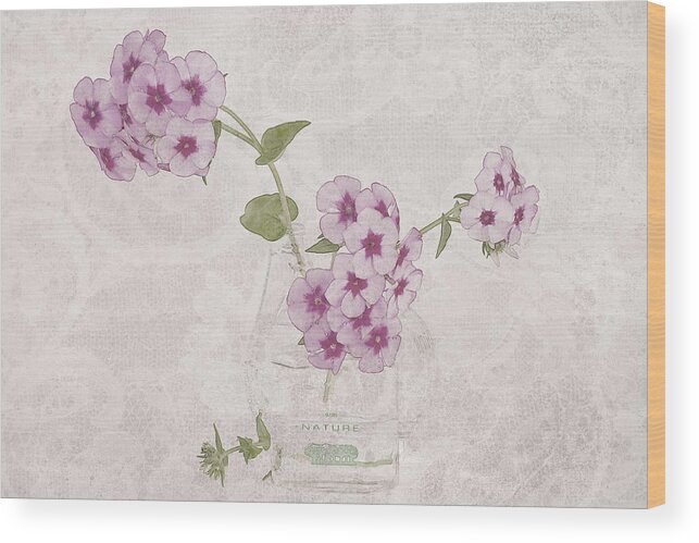 Phlox Flowers Wood Print featuring the photograph Phlox, Perfume And Lace by Sandra Foster