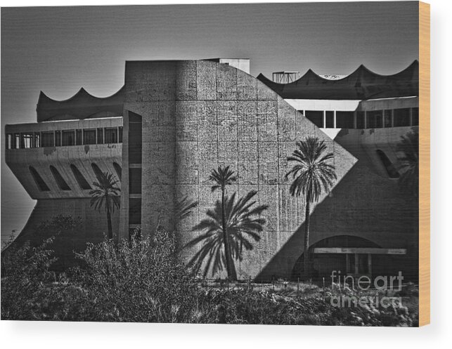 Horse-racing Wood Print featuring the photograph Phoenix Trotting Park Entrance by Kirt Tisdale