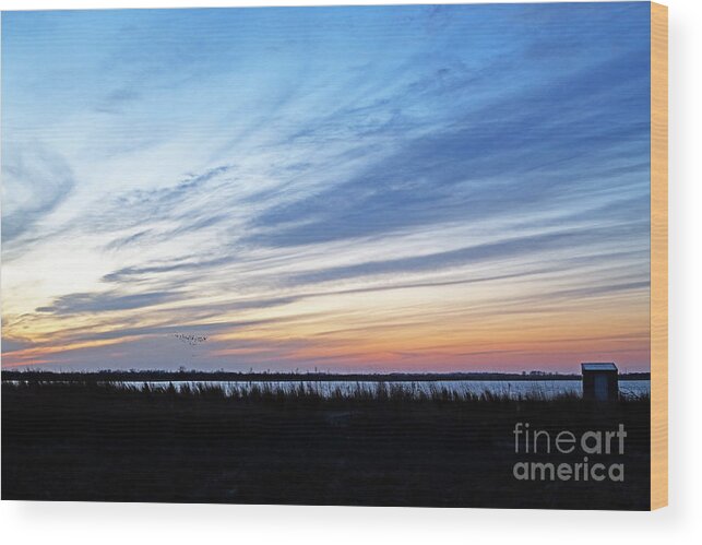 Quivira Wetlands; Quivira Refuge; Photoblind At Quivira; Shooting The Wetlands; Shooting The Birds Flying In; Sunset On The Wetlands; Wood Print featuring the photograph Photo Blind by Betty Morgan