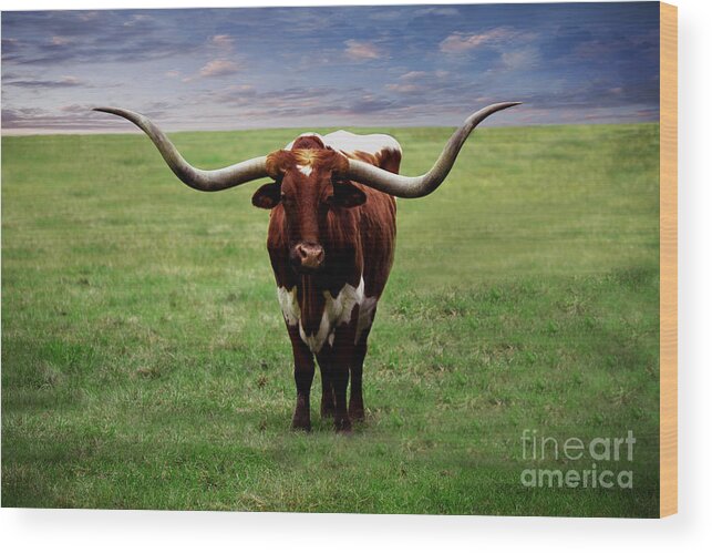 Botanical Wood Print featuring the painting Photo Texas Longhorn A010816 by Mas Art Studio