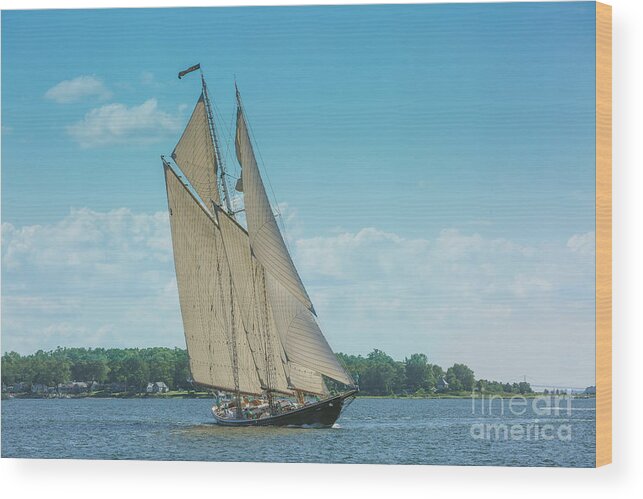 12meter Wood Print featuring the photograph Schooner under sail by JBK Photo Art