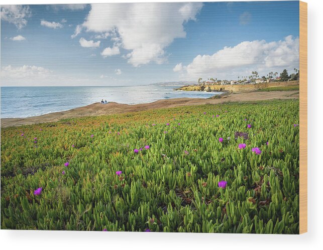 Sunset Cliffs Wood Print featuring the photograph Picnic at Sunset Cliffs by Shuwen Wu