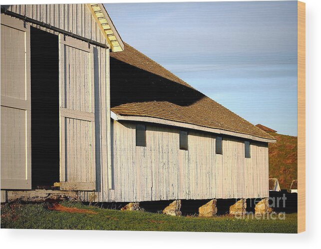 Pierce Point Ranch Wood Print featuring the photograph Pierce Point Ranch 8 by Wingsdomain Art and Photography