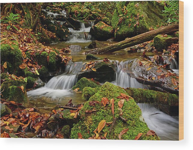 Pigeon Creek Wood Print featuring the photograph Pigeon Creek Cascades by Ben Prepelka