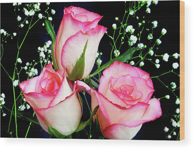 Roses Wood Print featuring the photograph Pink And White Roses by Terence Davis