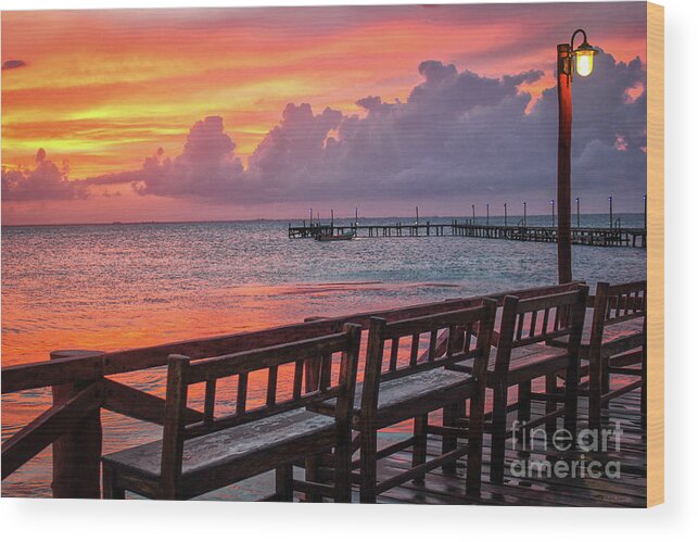 Sunset Wood Print featuring the photograph Pink Fire Sunset by Becqi Sherman