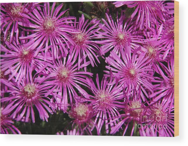 Firework Wood Print featuring the photograph Pink firework by Yumi Johnson