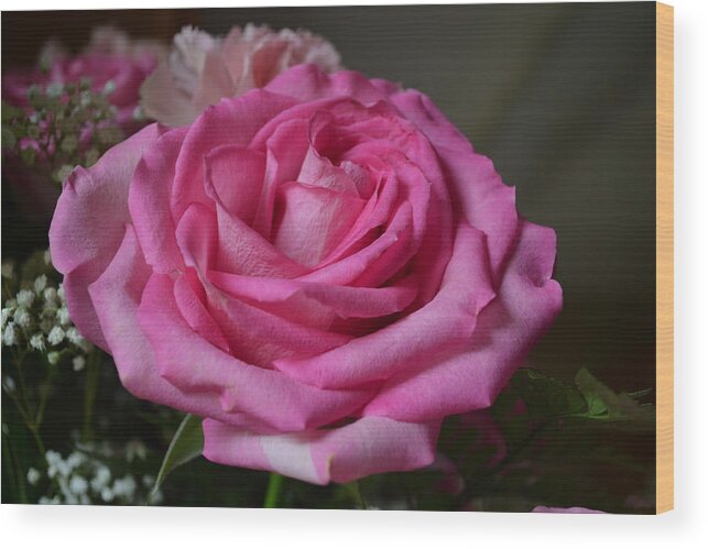 Roses Wood Print featuring the photograph Pink Rose by Eileen Brymer