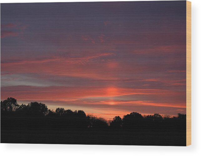 Sunrise Wood Print featuring the photograph Pink Sky at Sunrise by Sally Weigand