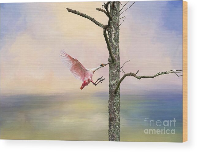 Waterfowl Wood Print featuring the photograph Pink Wonder by Bonnie Barry