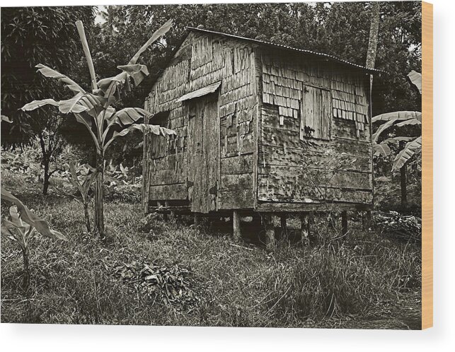 Framed Print Wood Print featuring the photograph Plantation Hut- St Lucia by Chester Williams