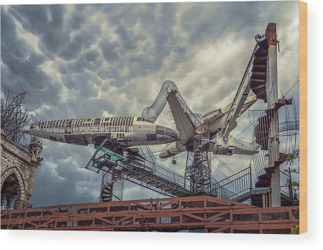 Abstract Wood Print featuring the photograph Aerial Playground by Robert FERD Frank