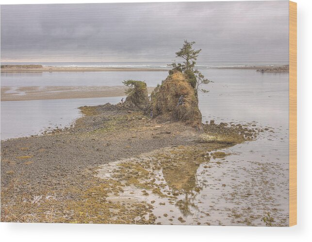 Coast Wood Print featuring the photograph Playground by Kristina Rinell
