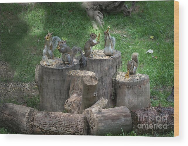 Grey Squirrels Wood Print featuring the photograph Playing with soul by Dan Friend