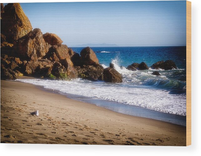 Point Dume Wood Print featuring the photograph Point Dume Malibu California by Adam Rainoff